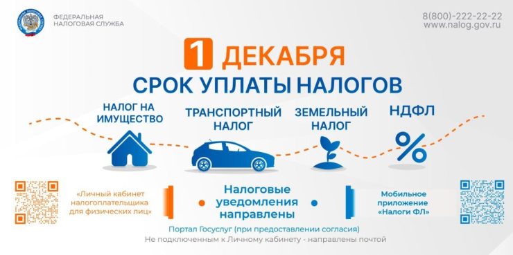 Не забудьте заплатить налоги!